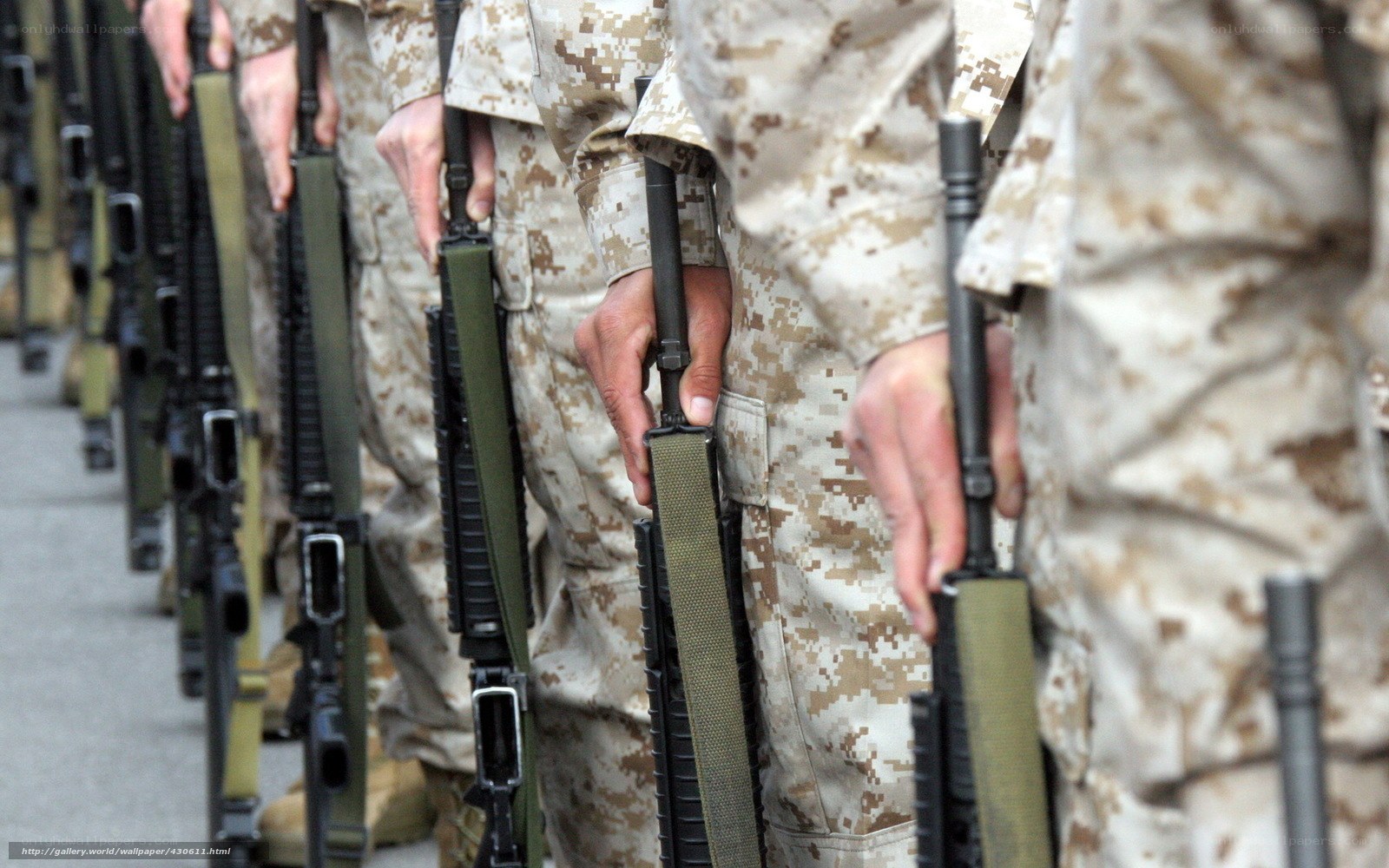 Soldiers in formation with rifles