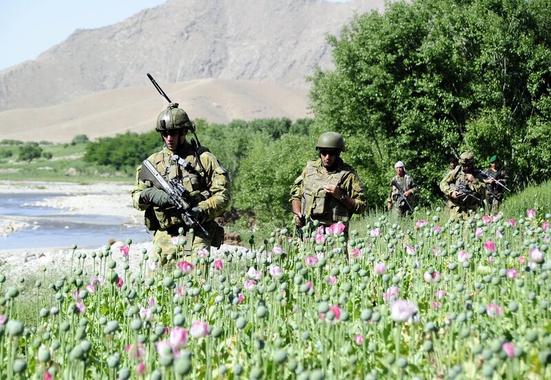 Soldiers in poppy field