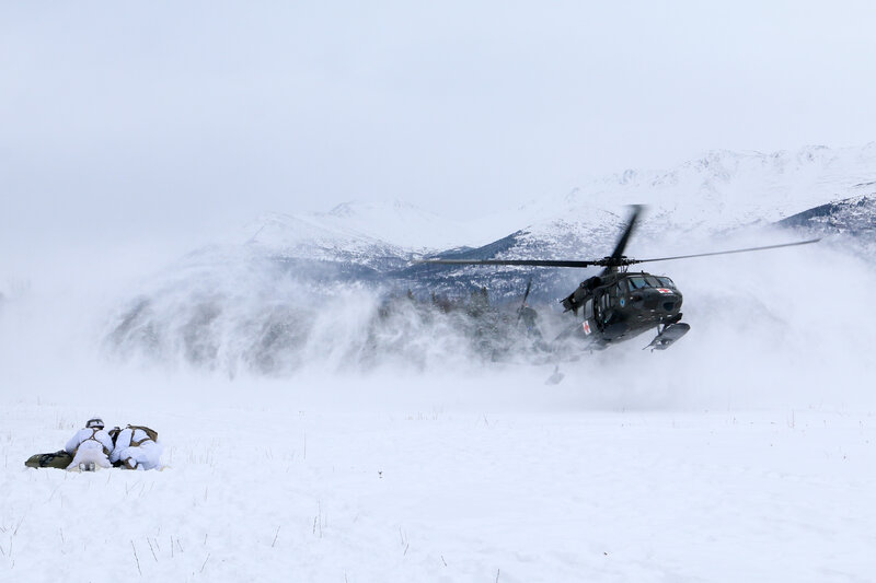 Soldiers in Snow — White, Dramatic, Winter