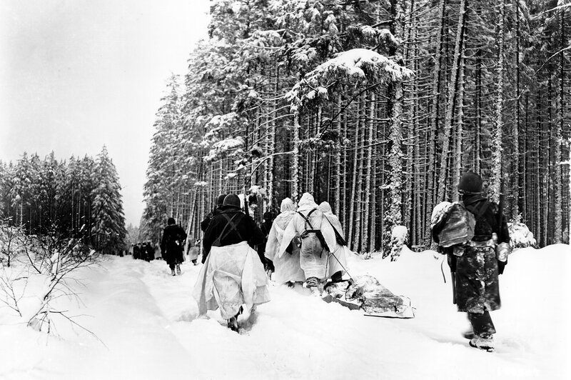 Soldiers in snowy forest