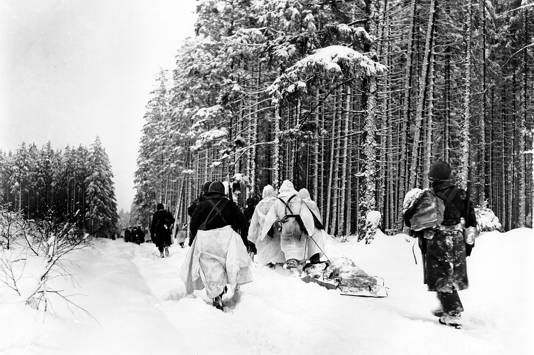 Soldiers in snowy forest