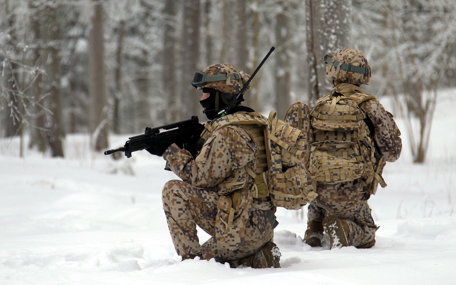 Soldiers in snowy forest