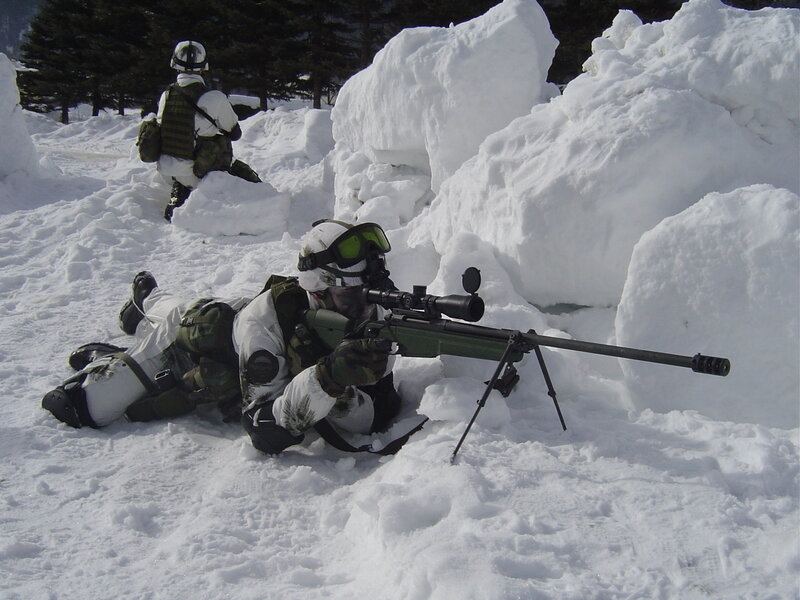 Soldiers in snowy terrain