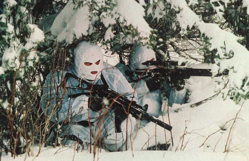 Soldiers in winter camouflage
