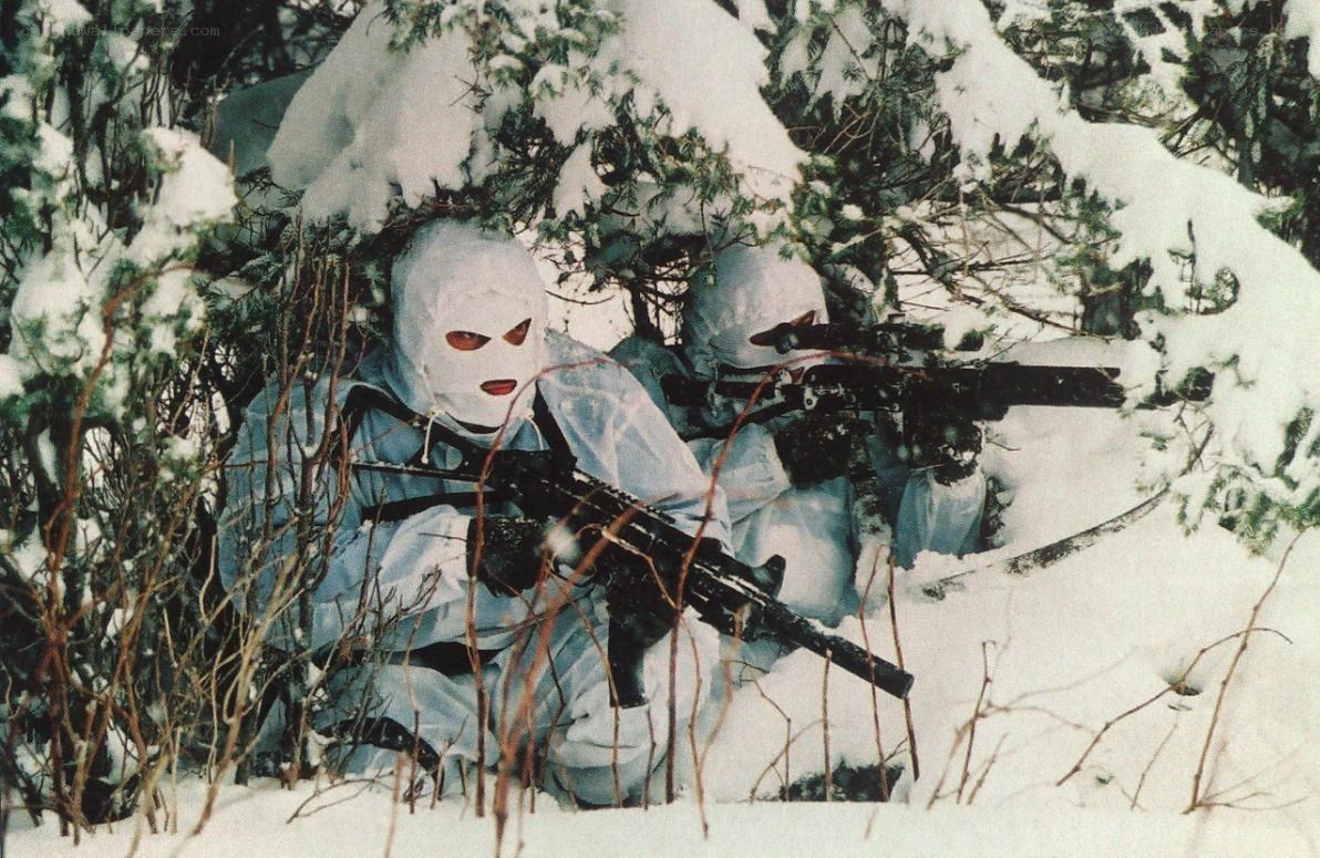 Soldiers in winter camouflage