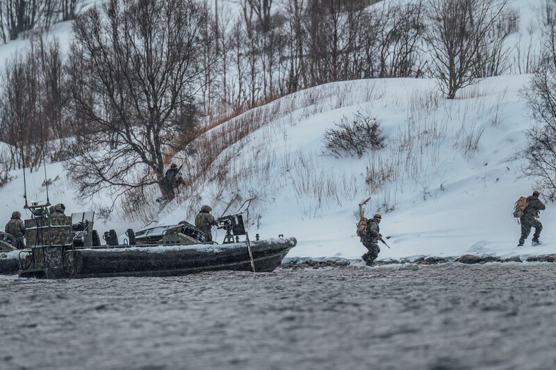 Soldiers in Winter — White, Cold