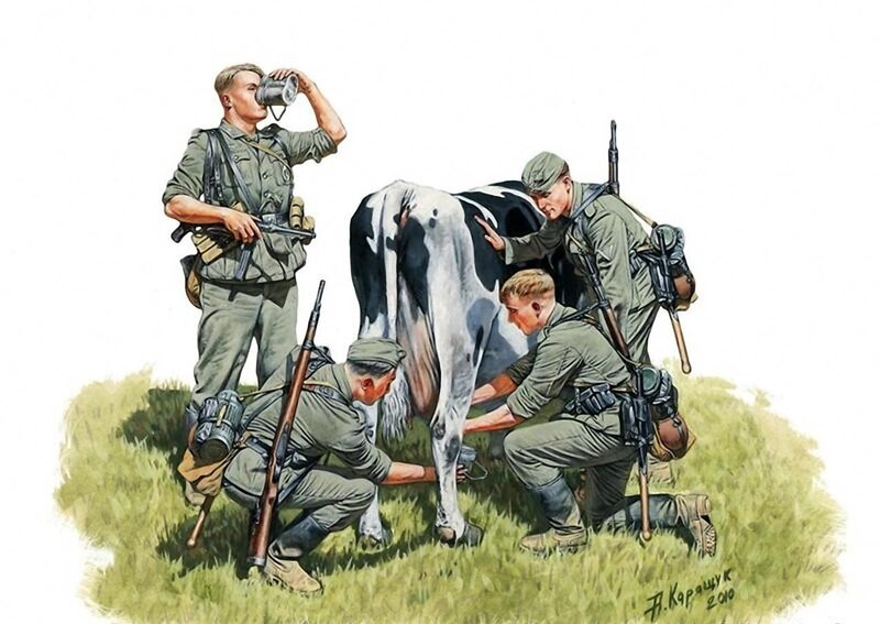 Soldiers Milking Cow