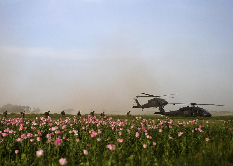 Soldiers near helicopters in poppy field
