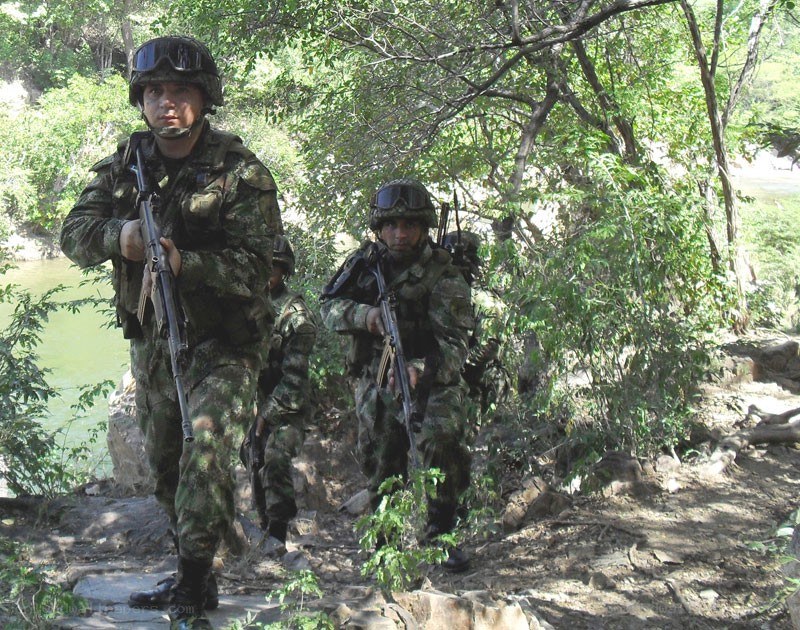Soldiers on patrol in forest