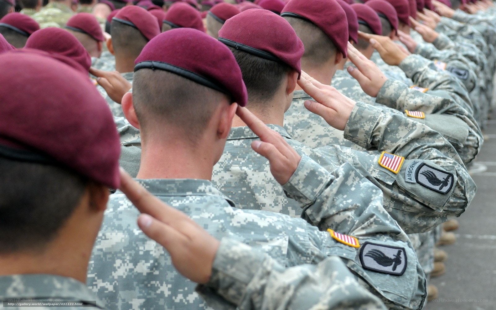 soldiers saluting in formation