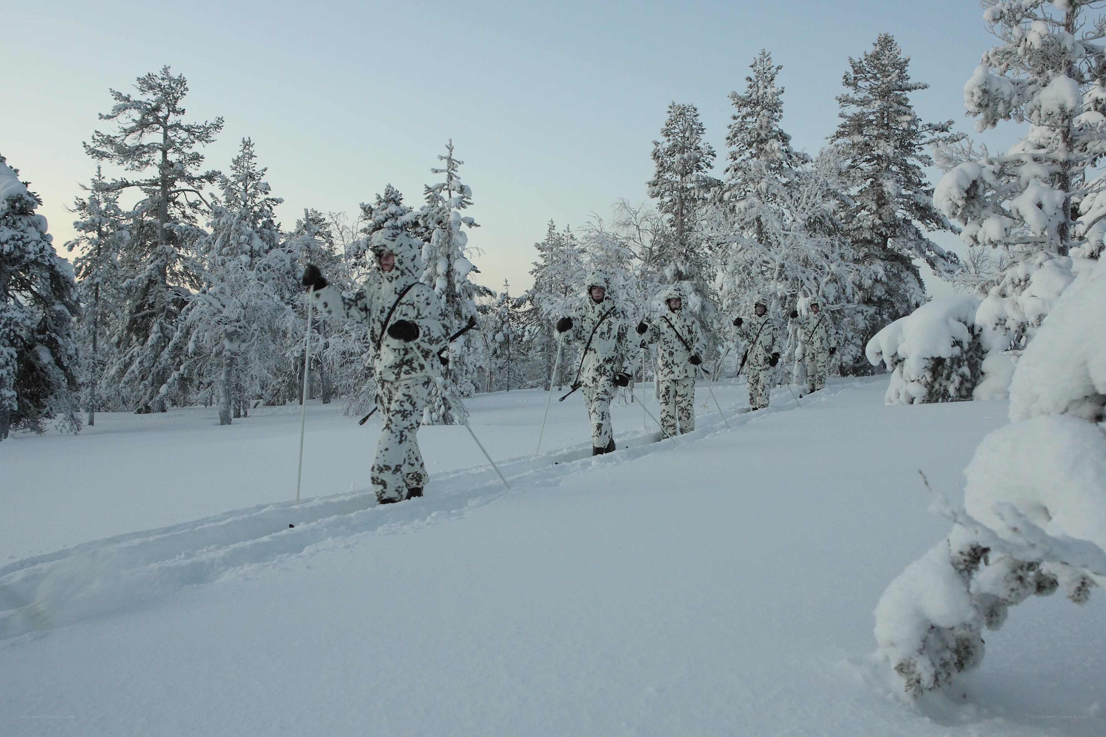 Soldiers skiing in snowy forest