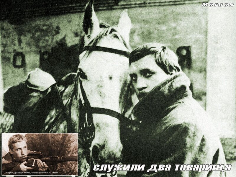 Soldiers with a horse