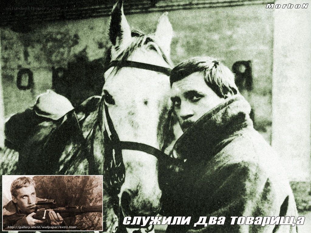 Soldiers with a horse
