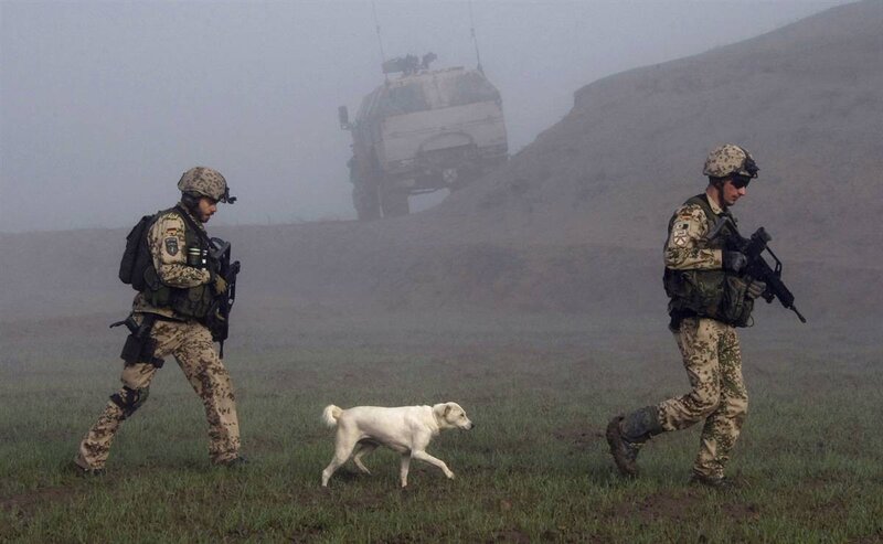Soldiers with dog in fog