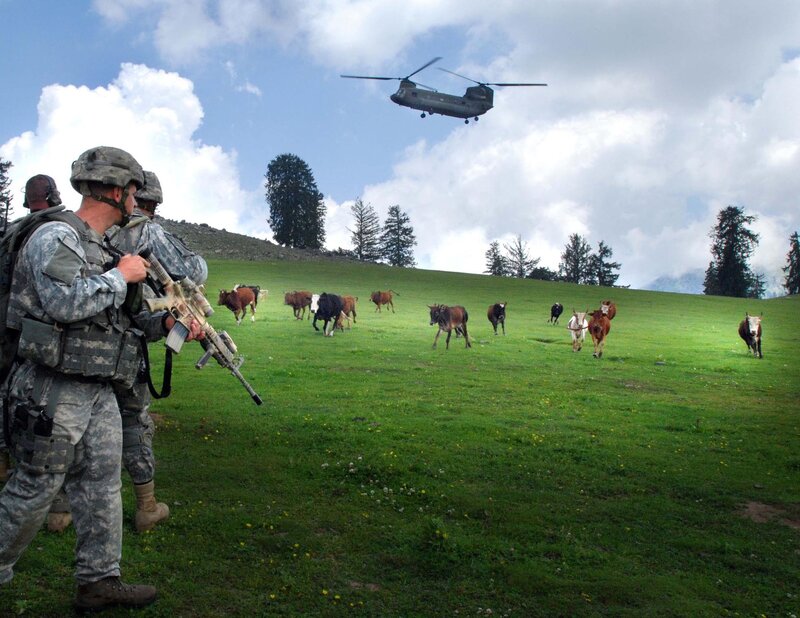 Soldiers with helicopter over pasture