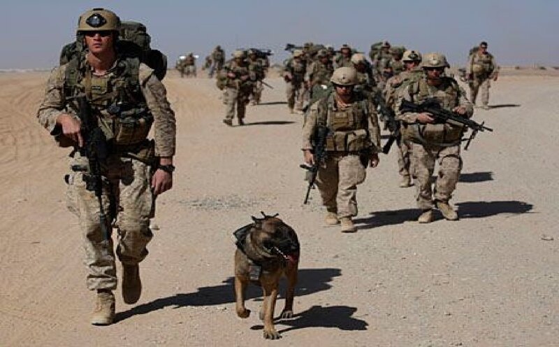 Soldiers with Military Dog — Brown