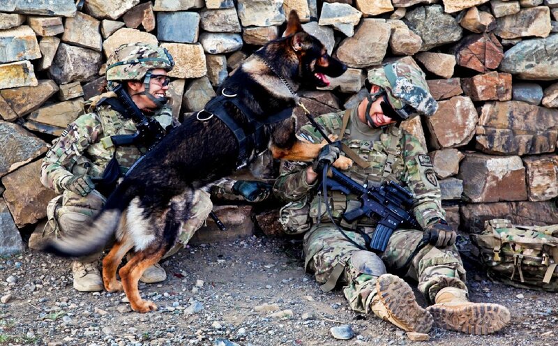 Soldiers with Military Dog