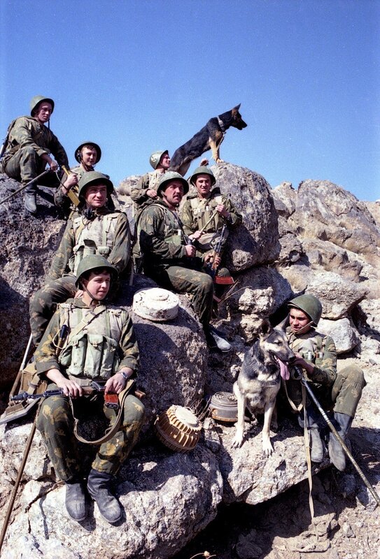 Soldiers with military dogs on rocks