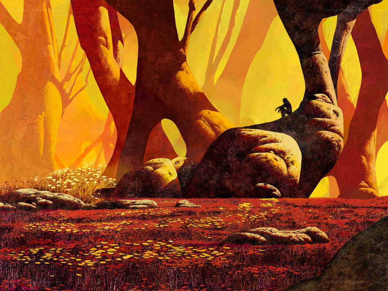 Sole figure in a forest
