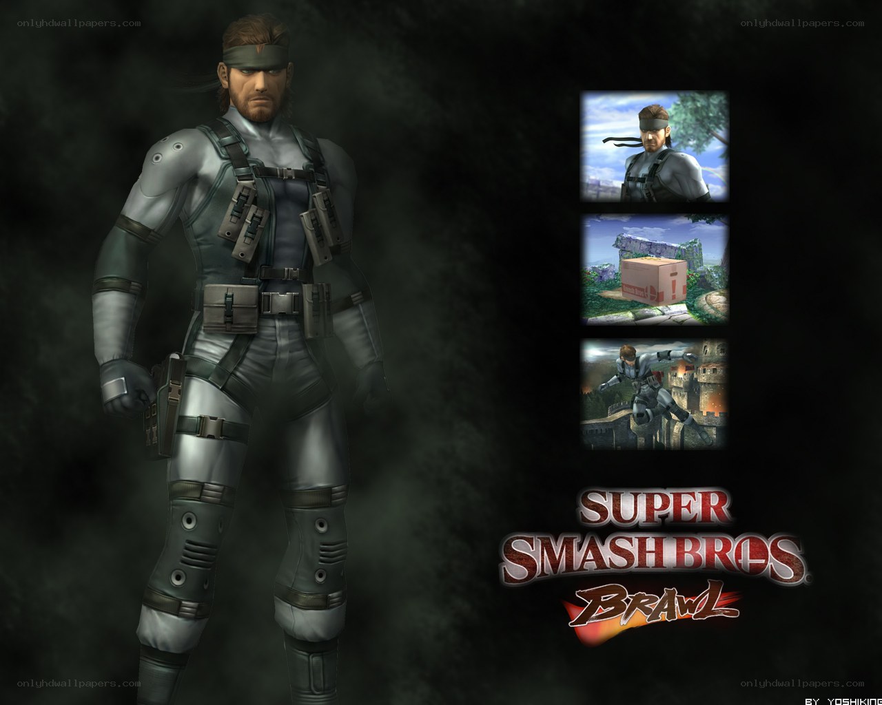 Solid Snake from Super Smash Bros Brawl