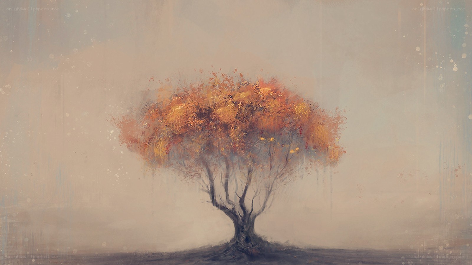 solitary autumn tree