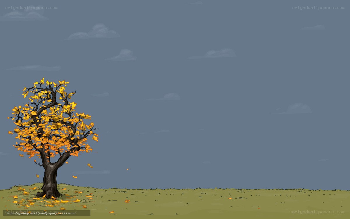 solitary autumn tree