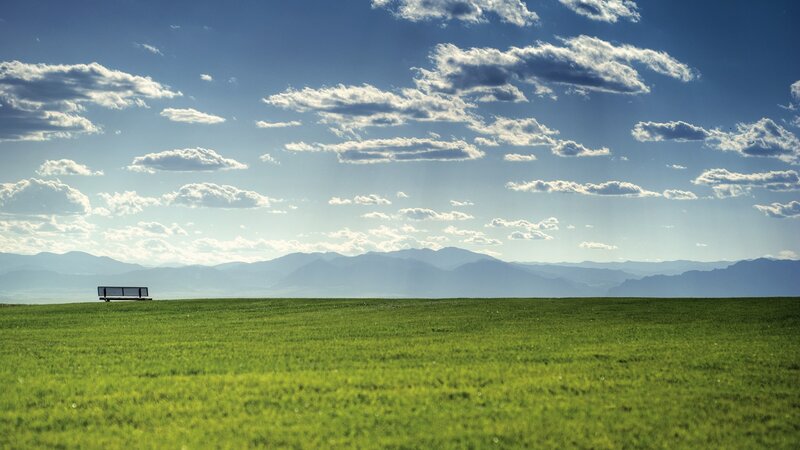 Solitary bench in green field
