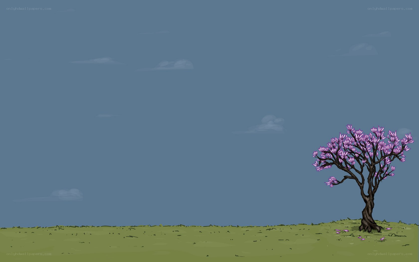 solitary blooming tree