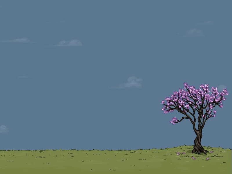 solitary blooming tree