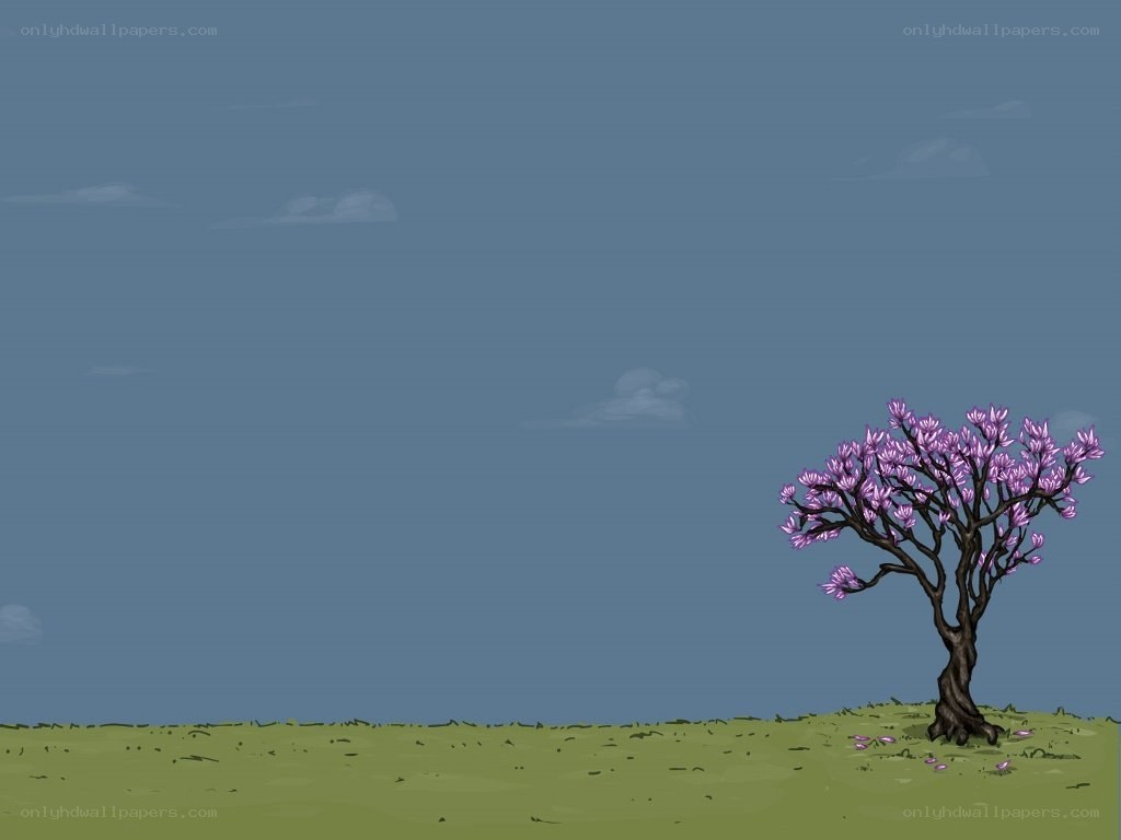 solitary blooming tree