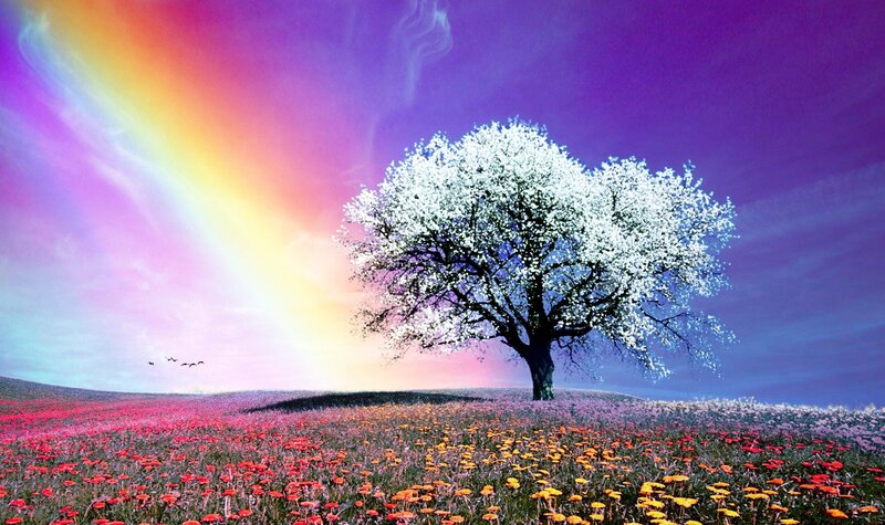 Solitary Blooming Tree — Purple, Serene