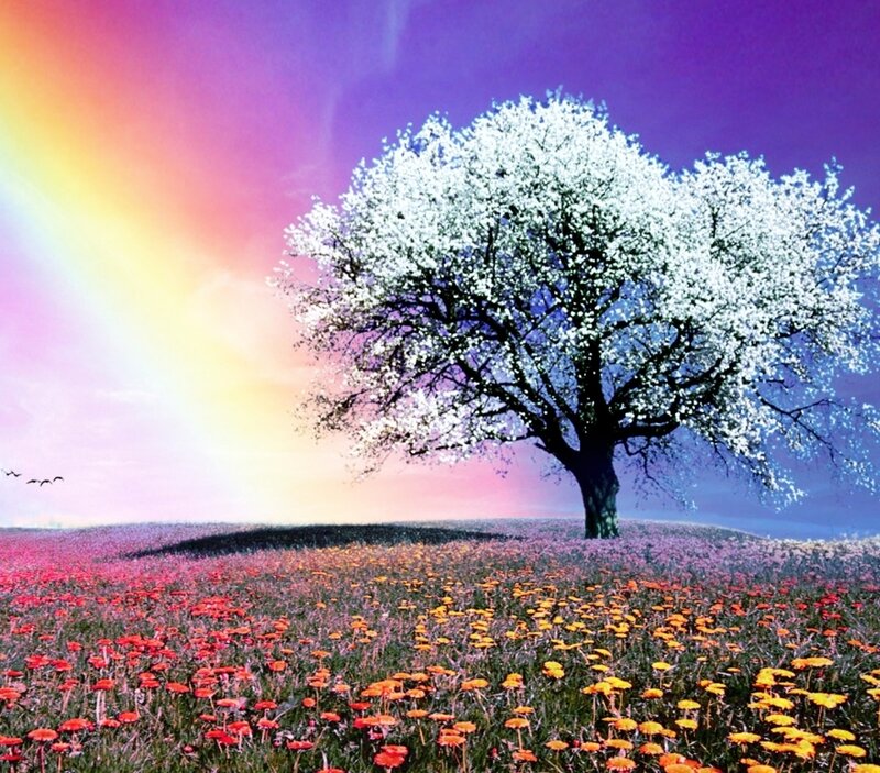 Solitary Blooming Tree — Purple
