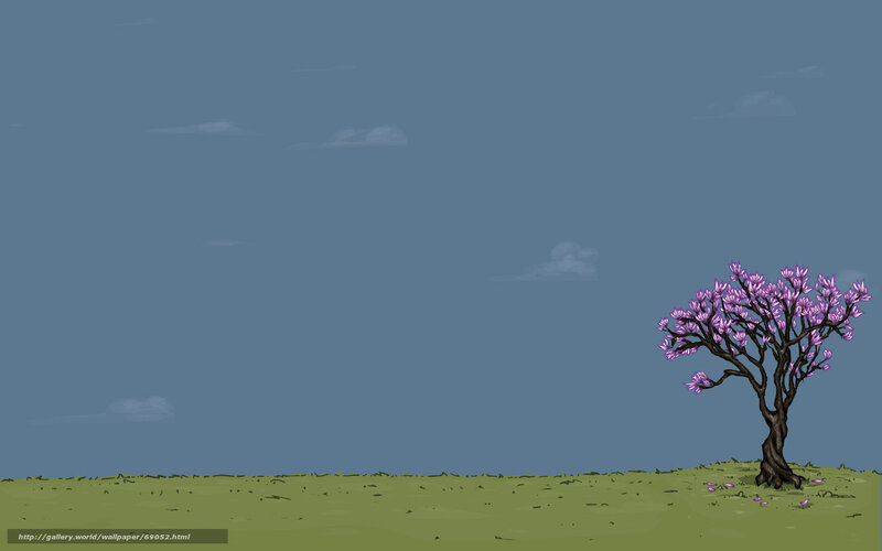 solitary blooming tree