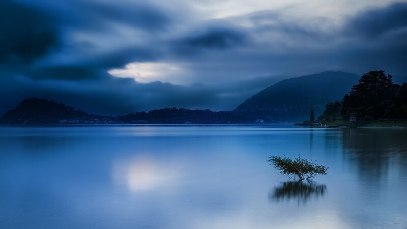 Solitary Bush in Lake