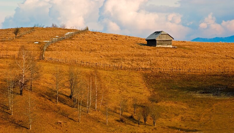 Solitary cabin on a golden hill