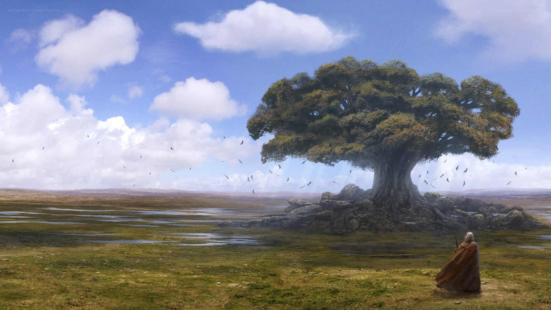 solitary figure by ancient tree