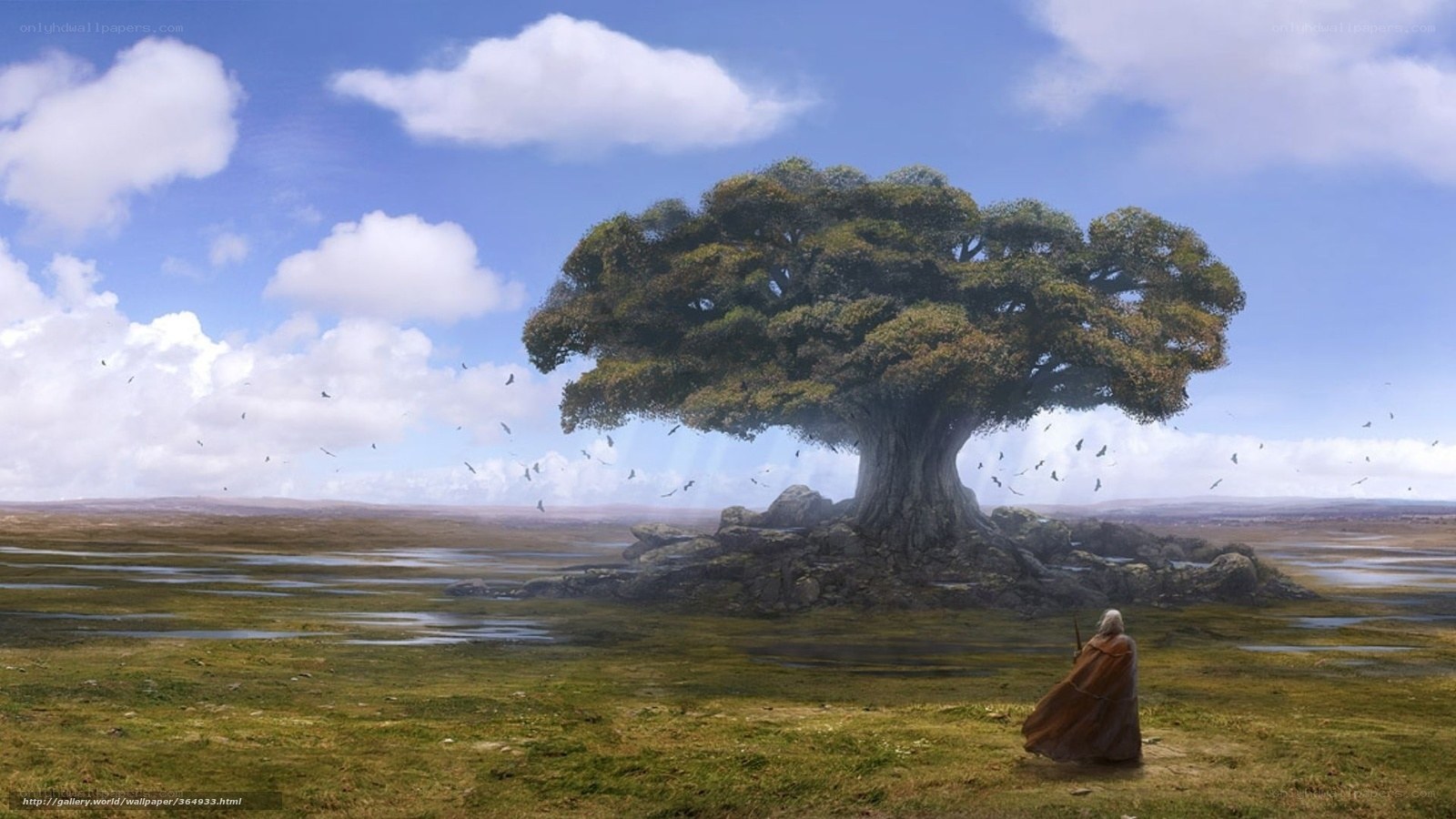 Solitary figure by ancient tree