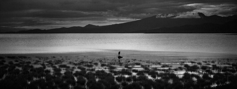 Solitary figure by the lake