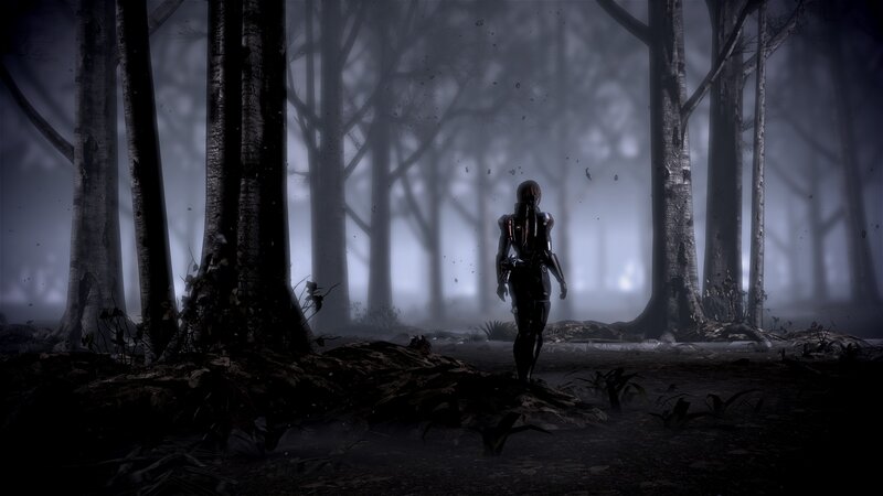 solitary figure in a misty forest