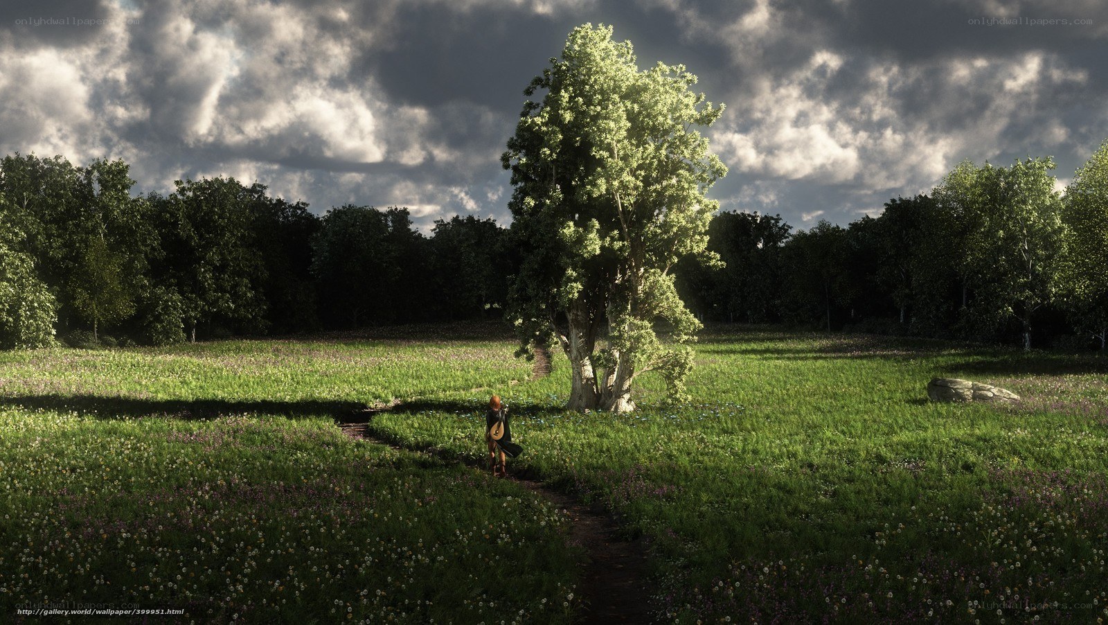 Solitary figure in a sunlit field