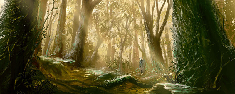 Solitary figure in a sunlit forest