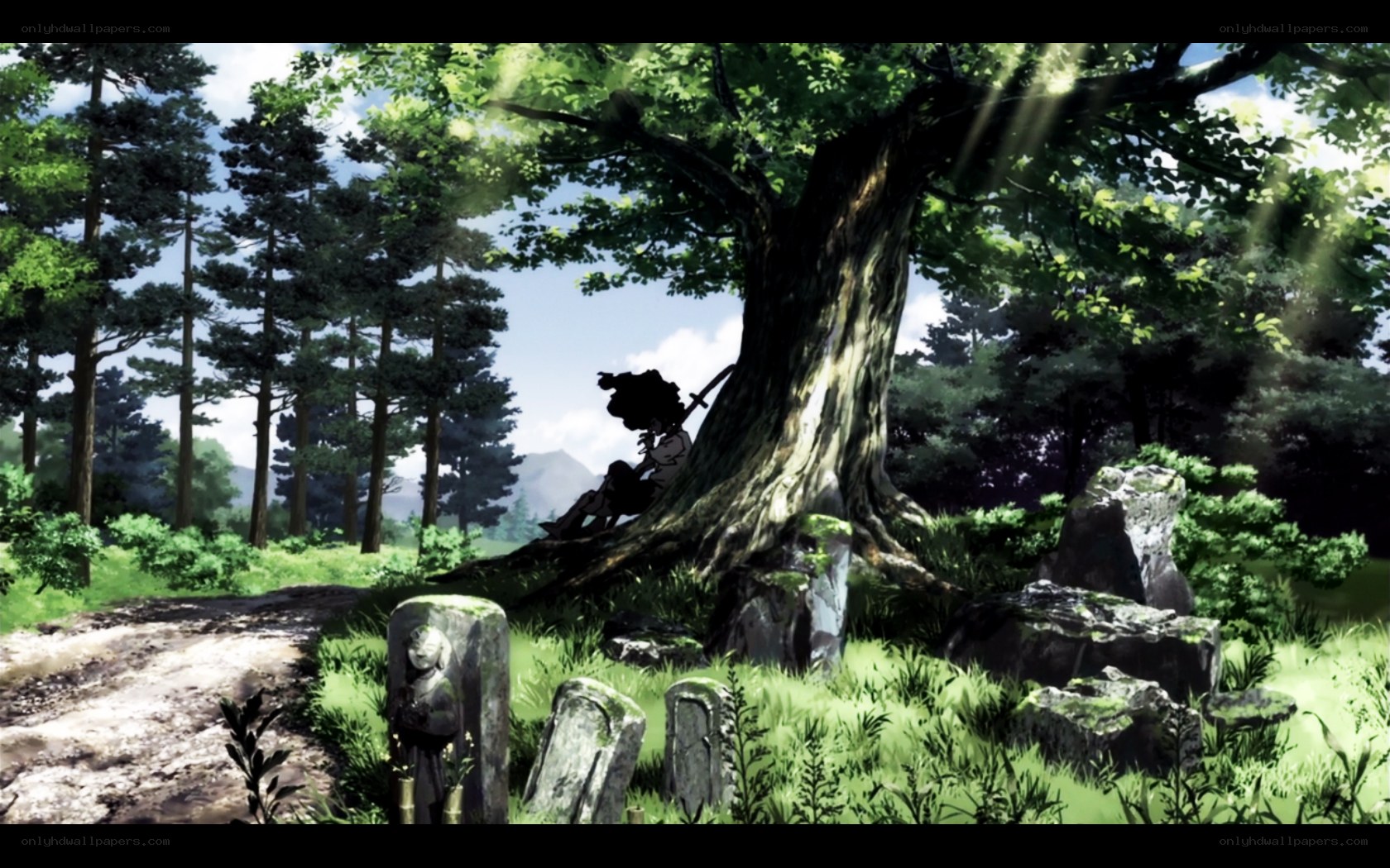 solitary figure in forest