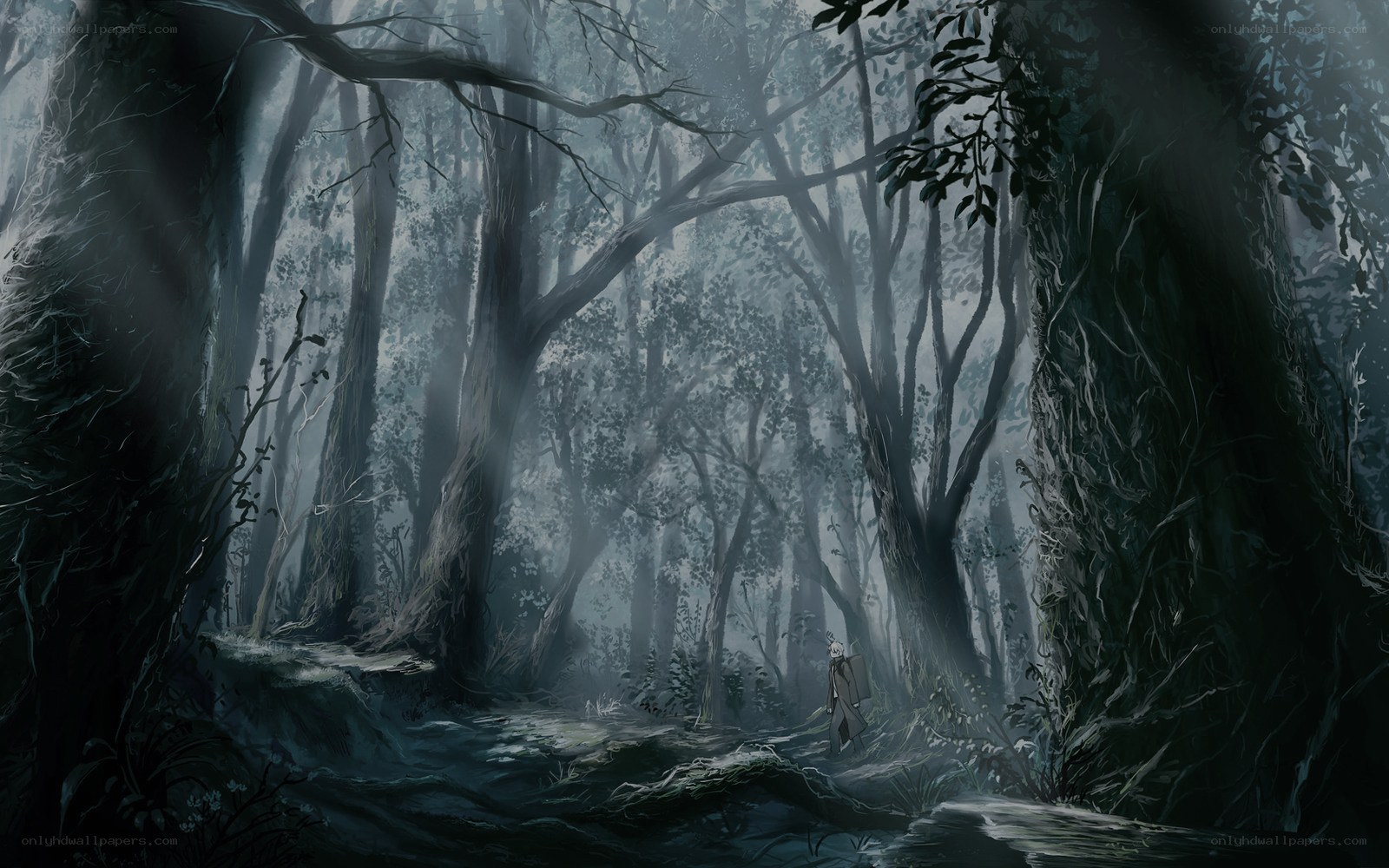 solitary figure in misty forest