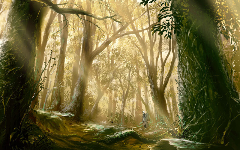 Solitary figure in sunlit forest