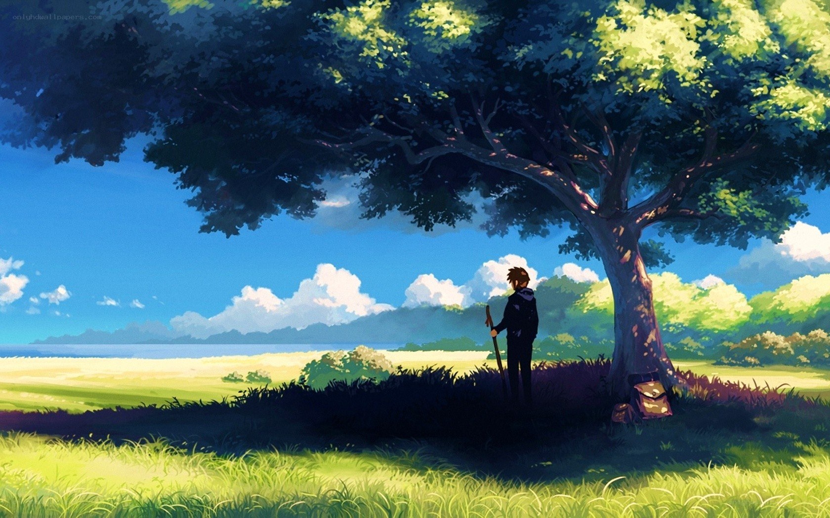 solitary figure under a tree