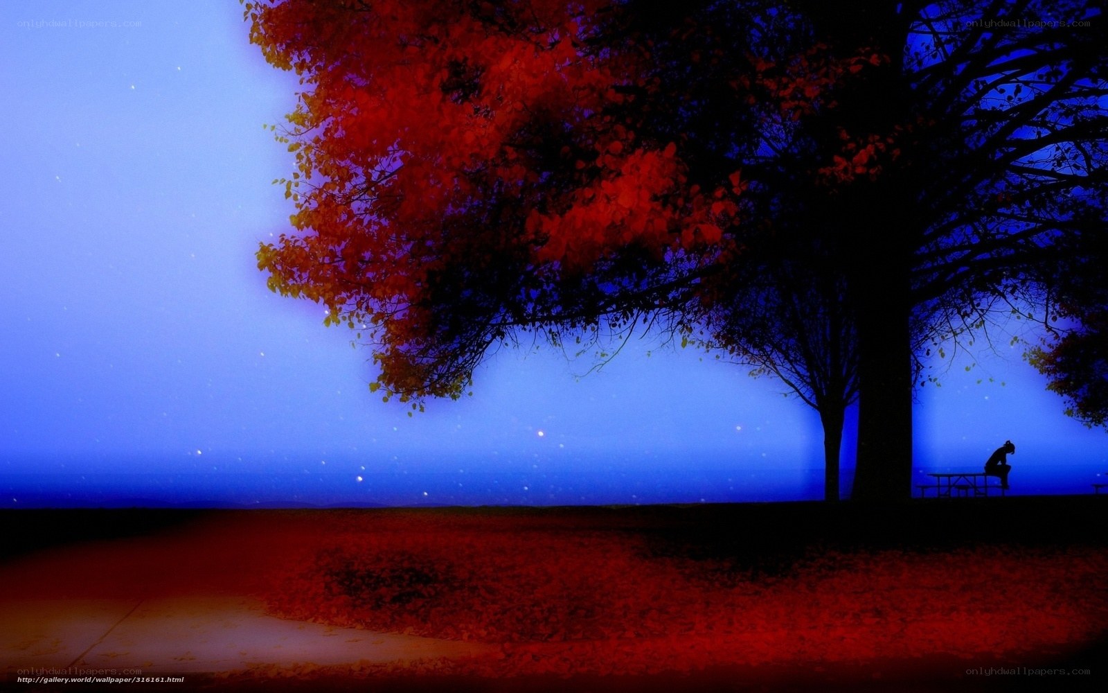 Solitary figure under autumn tree