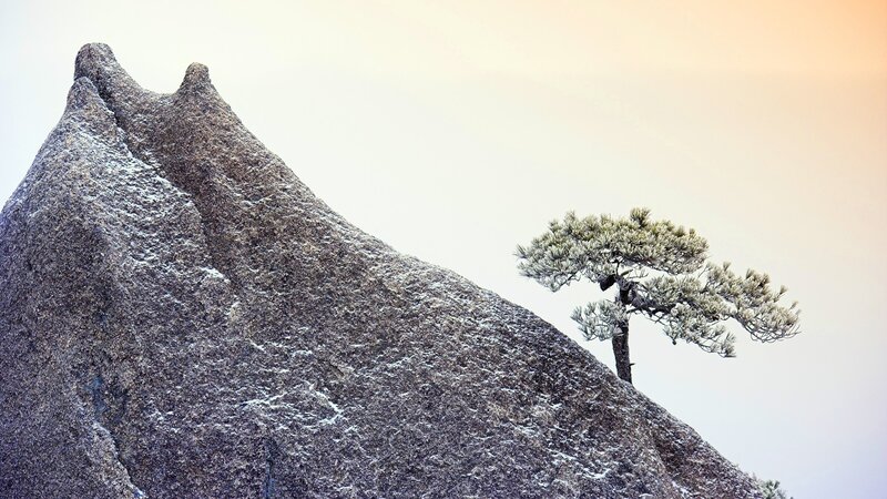 Solitary pine on rocky peak