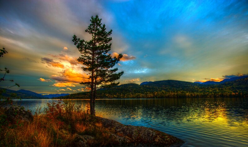 Solitary Pine Tree — Blue, Dramatic, Sunset