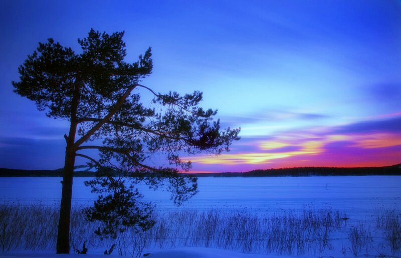 Solitary Pine Tree — Blue, Serene, Sunset, Photograph, Frozen Lake
