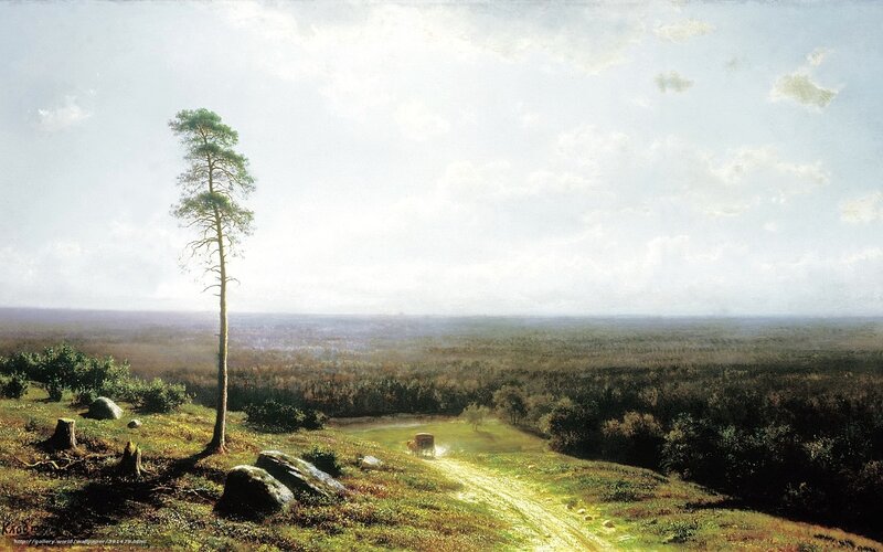 Solitary Pine Tree — Green, Serene, Afternoon, Painting, Cart
